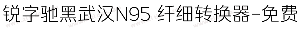 锐字驰黑武汉N95 纤细转换器字体转换